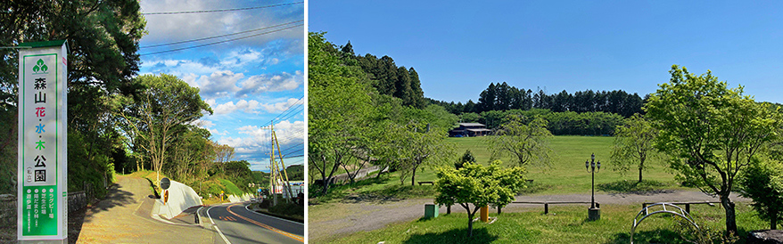 森山花水木公園